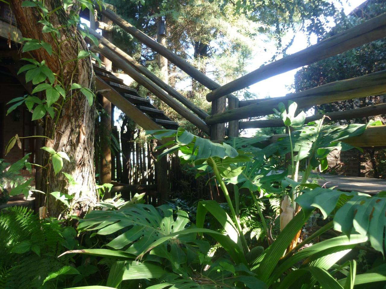 Cabanas Del Uru Colón Εξωτερικό φωτογραφία